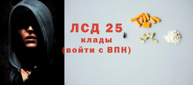 крисы Алзамай