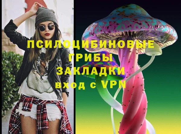 крисы Алзамай