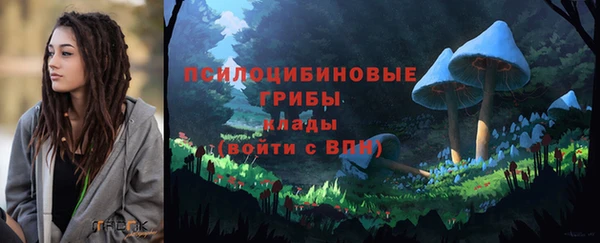 прущий лед Алексин